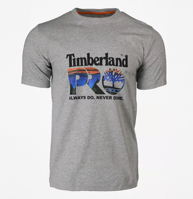 T-shirt  cotton core  a/logo timberland pro-m/c